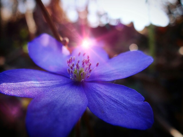 La meditazione: cos’è?
